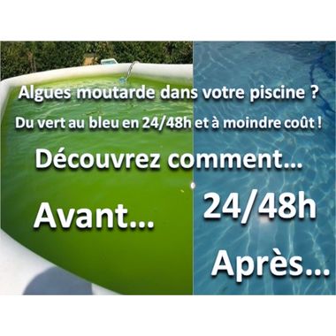 Eliminer les Algues moutardes - Accompagnement TPE et piscinologue 😉
